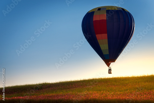 hdr shot of hot air balloons flying over field of flowers clouds  (selective focus) © Sharpnaja