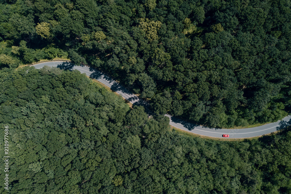 Luftbild einer durch einen Wald verlaufenden Strasse