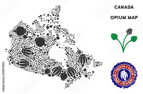 Opium addiction Canada map mosaic of poppy heads and syringes. Concept for narcotic addiction campaign against heroin dependence.
