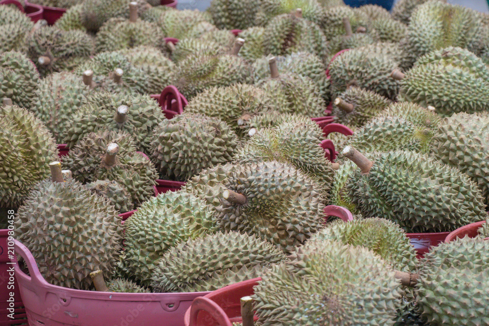 Full Frame Shot Of Durian in the the Market.People in Southeast Asia call the `king of fruits` Full Frame Shot Of Durian in the the Market.People in Southeast Asia call the `king of fruits`