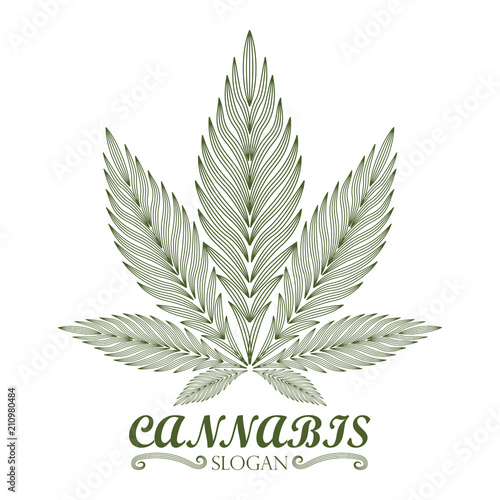 cannabis green leaf logo.