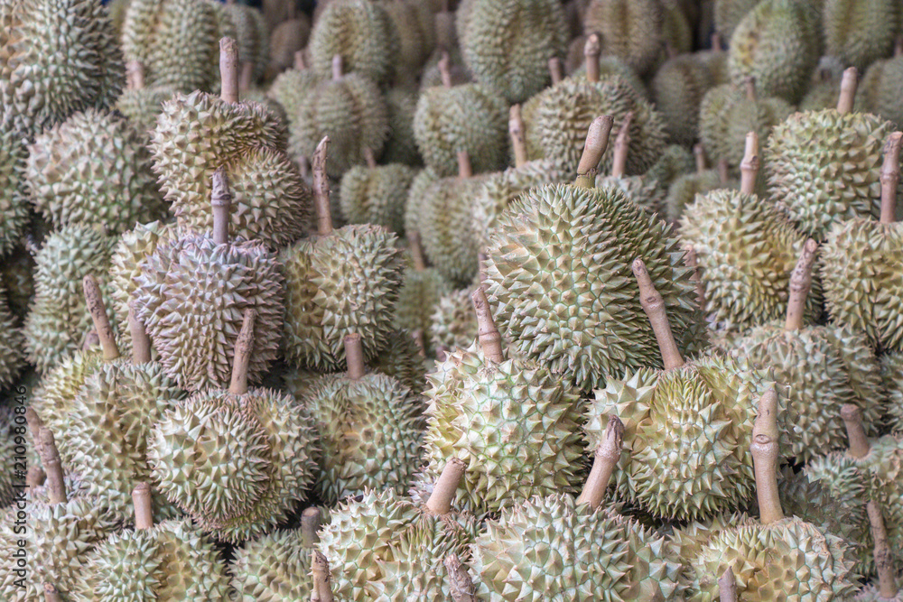 Full Frame Shot Of Durain in the the Market.People in Southeast Asia call the `king of fruits` Full Frame Shot Of Durain in the the Market.People in Southeast Asia call the `king of fruits`
