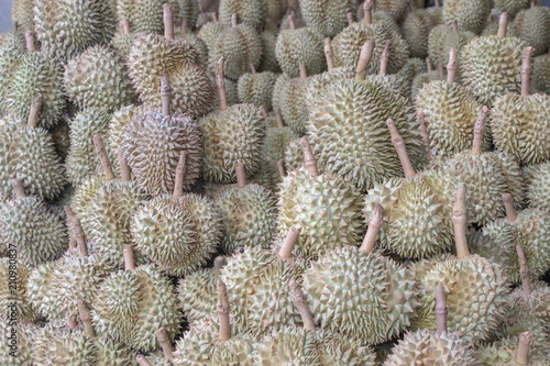 Full Frame Shot Of Durian in the the Market.People in Southeast Asia call the `king of fruits`