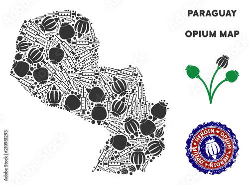 Opium addiction Paraguay map composition of poppy heads and syringes. Concept for narcotic addiction campaign against heroin dependence.