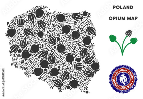 Opium drugs Poland map collage of poppy heads and syringes. Concept for narcotic addiction campaign against heroin dependence. Vector Poland map is formed of opium poppyheads and injection needles.