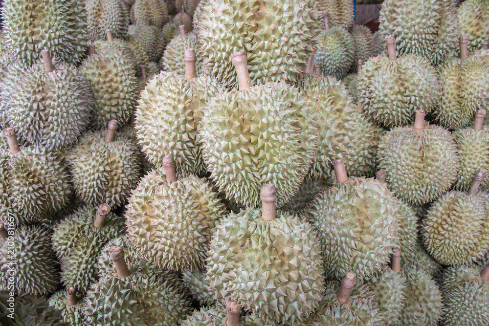 Durain the king of fruits in thailand market. Durain the king of fruits in thailand market.