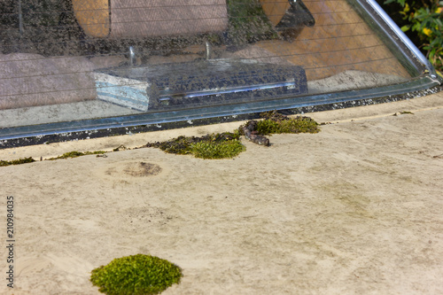 old weathered mercedes benz car