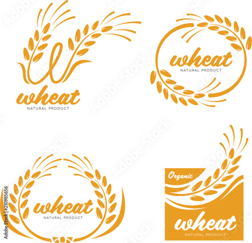 Yellow Paddy Wheat rice grain products food banner sign logo vector art design