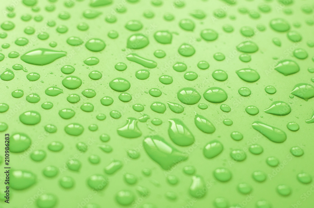 Water droplets on green background.Close up shot of dew drops on green background.