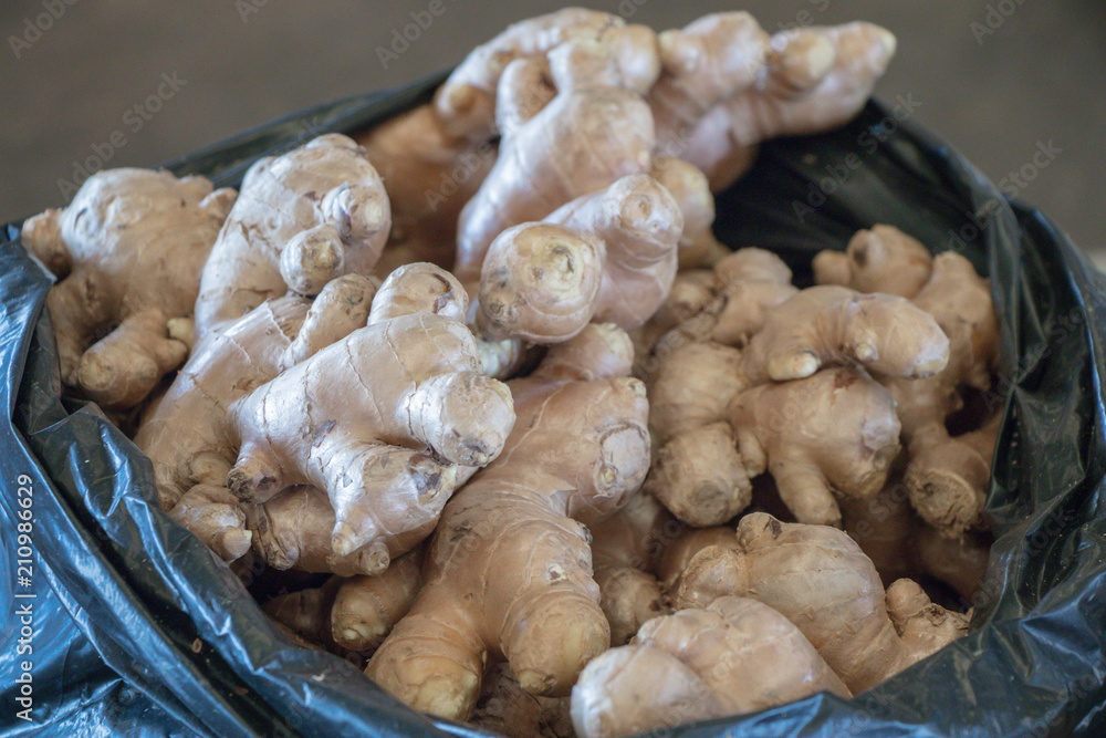 Ginger (Zingiber officinale) in a market. Ginger (Zingiber officinale) in a market.