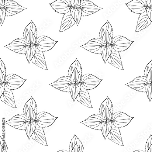 Seamless floral pattern, Nettle wild field flower isolated on white background, hand drawn ink sketch vector, line art illustration Urtica dioica for design package tea, cosmetics, natural medicine