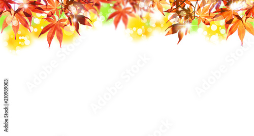 秋のカラフルな紅葉風景（背景画） 