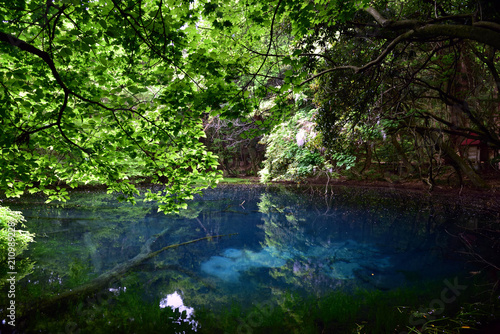 青が美しい神秘の丸池様