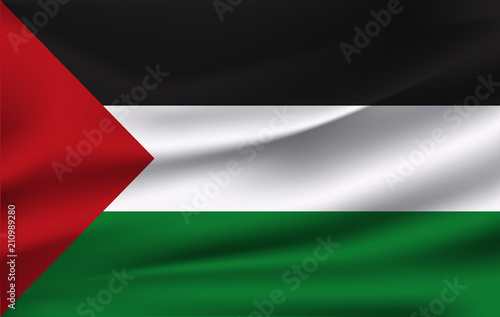  image of the State of Palestine waving flag