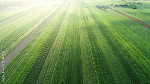 Aerial landscape - spring fields