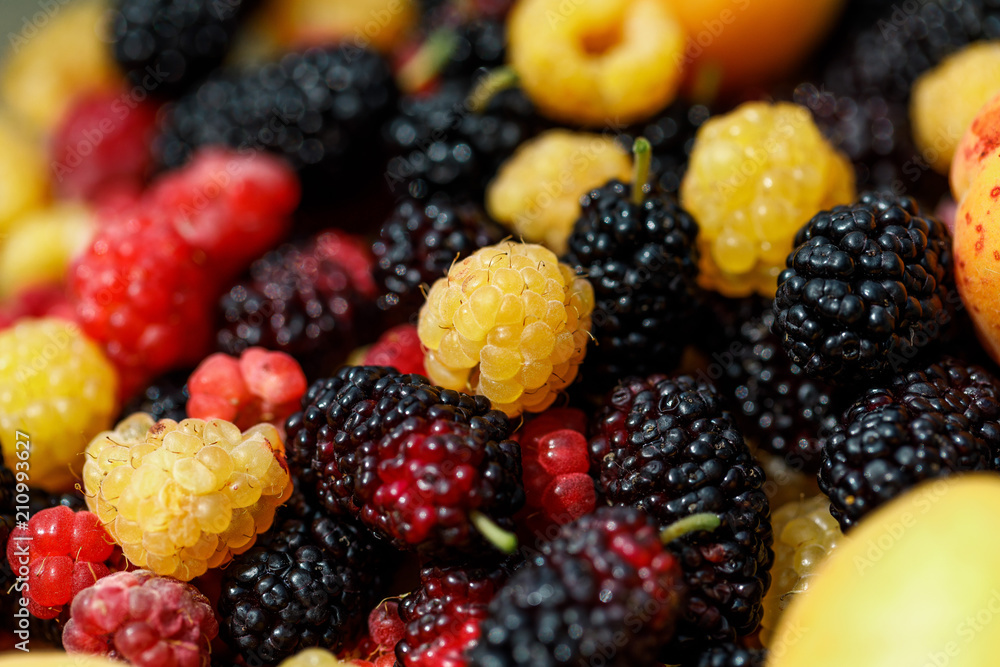 background of fresh berries background of fresh berries