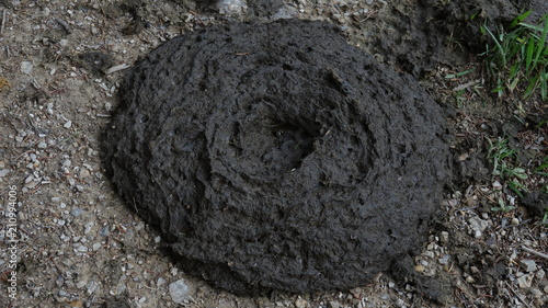 Canvastavla Kuhmist auf dem Wanderweg.