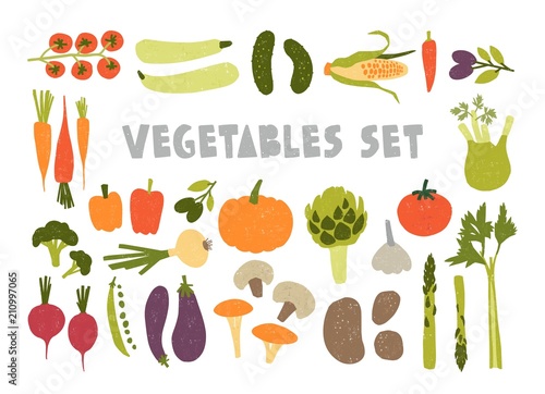 Bundle of colorful hand drawn ripe tasty vegetables isolated on white background. Set of healthy and delicious veggie products, wholesome vegetarian food. Flat cartoon vector illustration.