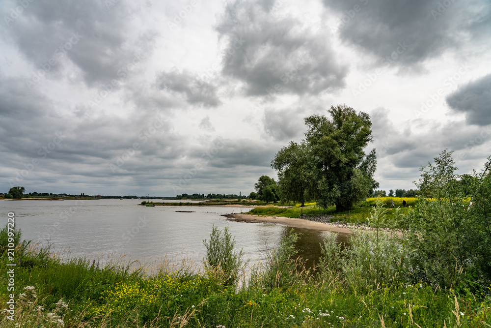 River bank River bank