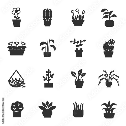 House plants, monochrome icons set. Flower in pot, simple symbols collection