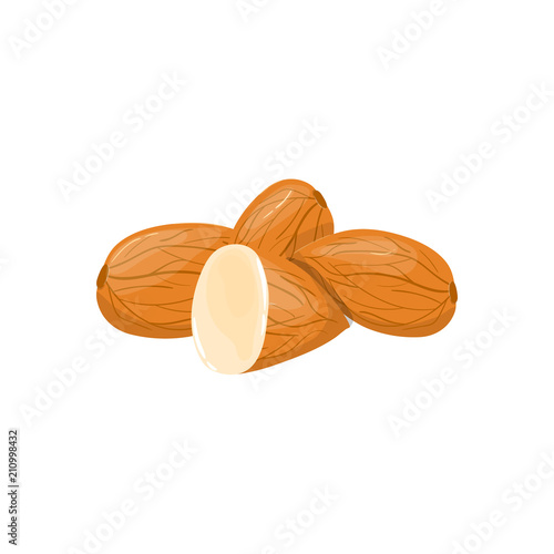 Closeup Almond vector icon. Healthy eating cartoon illustration. Group of nuts isolated on white background