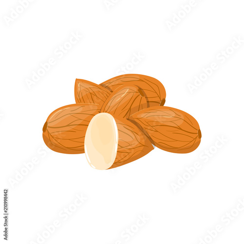 Closeup Almond vector icon. Healthy eating cartoon illustration. Group of nuts isolated on white background