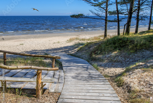 Coastal landscape with pine trees, sand dunes and site for resting, Baltic Sea