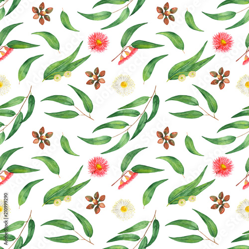 Watercolor pattern of leaves  flowers and eucalyptus branches. Flower texture on a white background.
