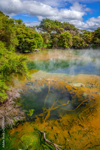 Hot springs lake in Rotorua, New Zealand