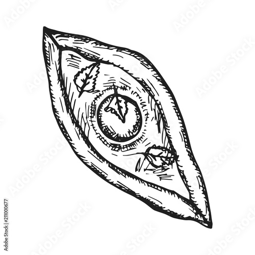 Georgian dish kachapuri vector sketch icon
