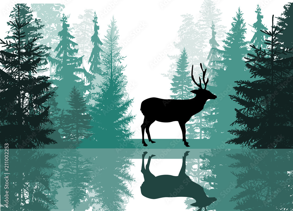 deer silhouette in fir forest with reflection deer silhouette in fir forest with reflection