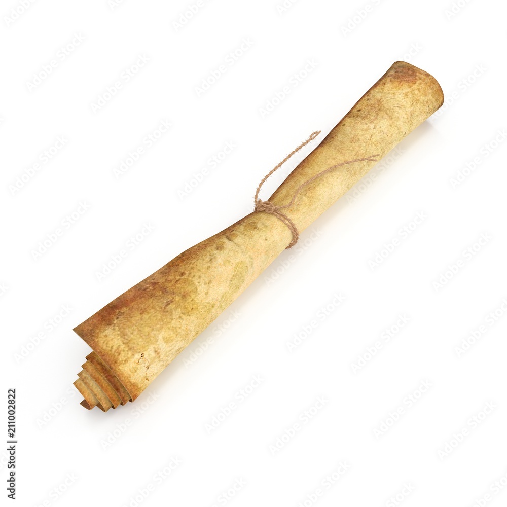 Old rolled paper isolated on white. 3D illustration