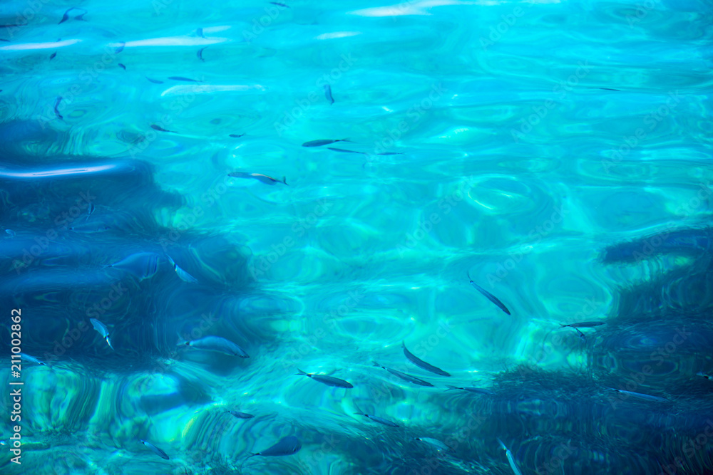 Fototapeta premium Skin care procedure fish peeling