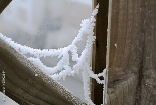 Ice crystalls on a spieder web