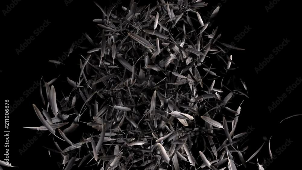 Tornado of feathers transition effect with alpha channel Tornado of feathers transition effect with alpha channel