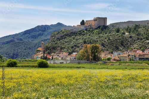 Miravet village and castle with a field of colorful wild flowers in Catalonia