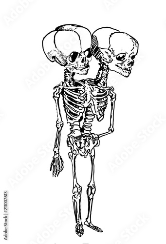 Graphical skeleton of siamese twins isolated on white,fashion tattoo sketch,vector illustration of monster