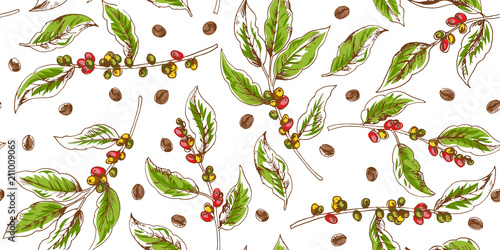 Botanical seamless pattern with coffee branches and beans
