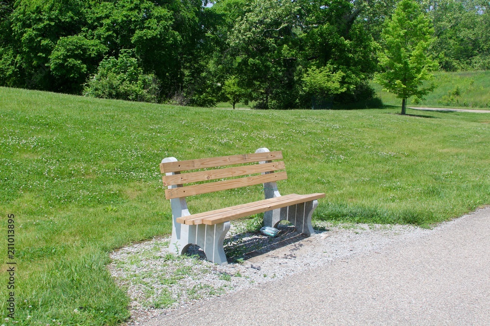 The empty wood park bench on the parks walkway. The empty wood park bench on the parks walkway.