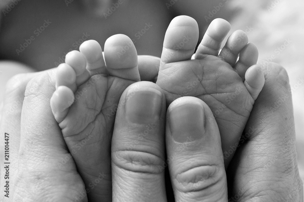 baby feet close up in white and balck colours baby feet close up in white and balck colours