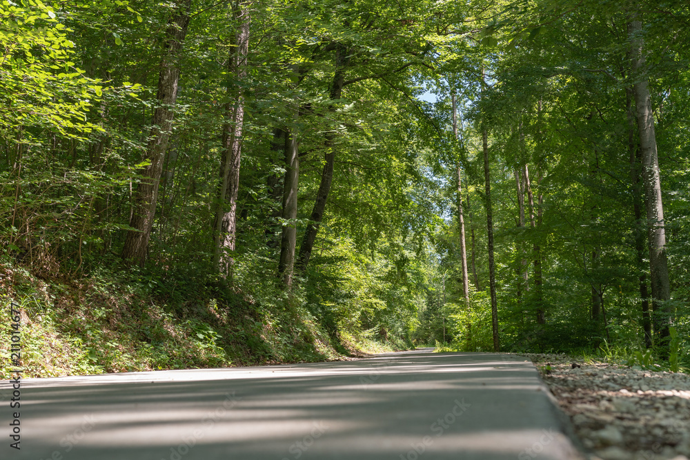 Obraz premium Strasse im grünen Wald im Sommer