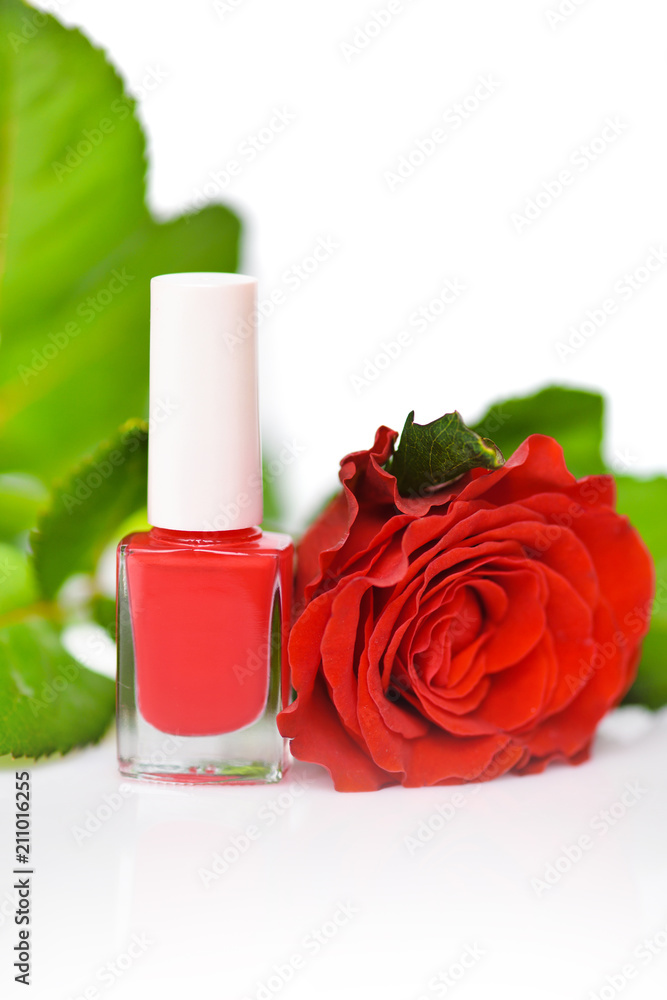 Red nail polish with scarlet rose on white background Red nail polish with scarlet rose on white background