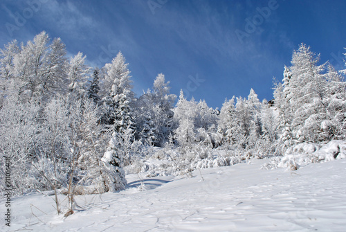 Картината върху платно Snow mountain in Chamonix, France
