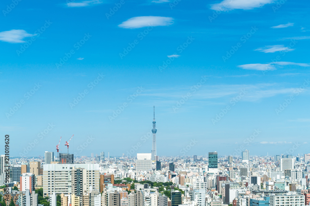 Fototapeta premium 東京風景