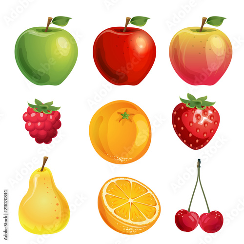 collection od fruit vector