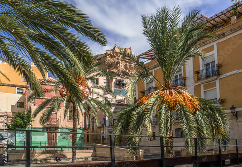 The hill with the Santa Barbara castle of alicante  visible among the palm leaves of a square. Spain