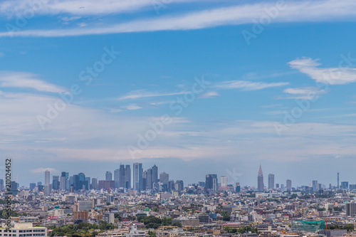 東京都全景 panoramic view of the capital Tokyo