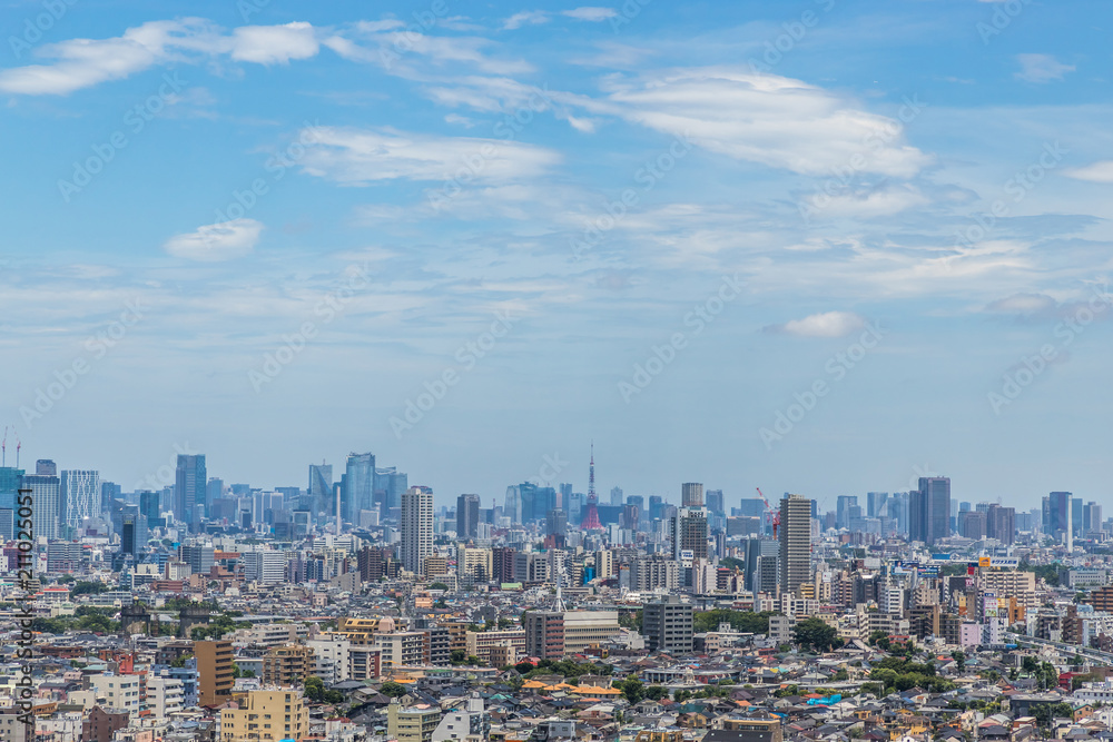 東京都全景　panoramic view of the capital Tokyo