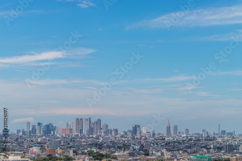 東京都全景　panoramic view of the capital Tokyo © norikko