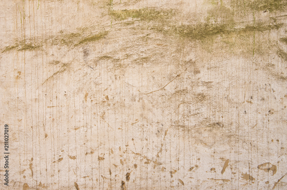 Obraz premium old wall background texture